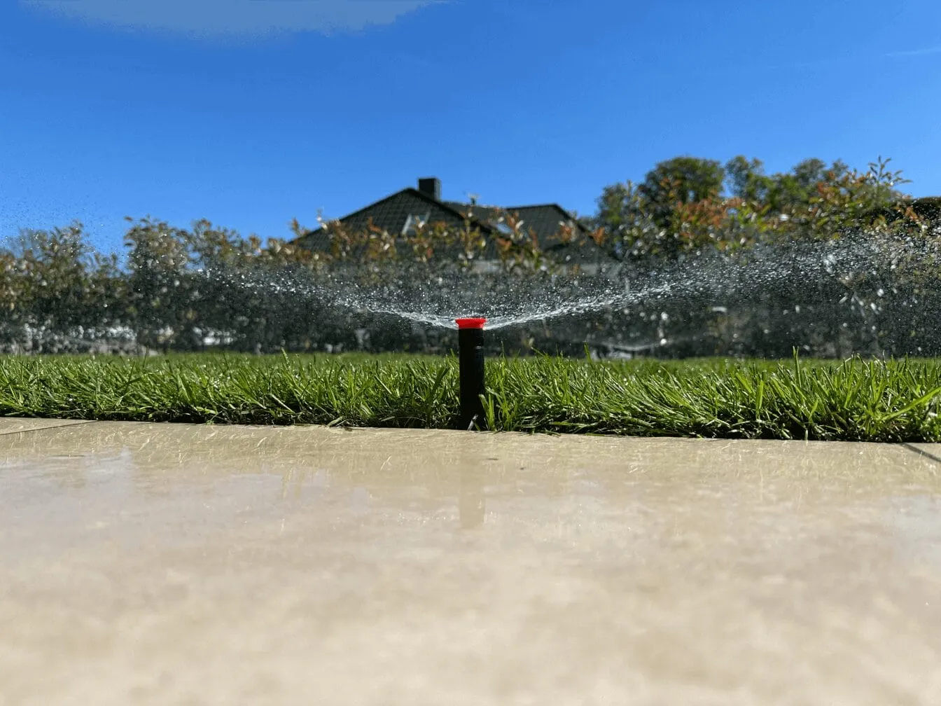 Versenkregner bewässert die Rasenfläche am Terrassenrand Versenkregner bewässert die Rasenfläche am Terrassenrand